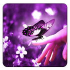 Purple Butterfly Wallpapers ikona