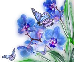 Papéis de parede roxos da borboleta imagem de tela 3