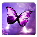 Shiny Butterfly Live Wallpaper APK