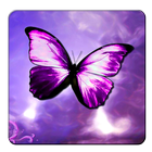 Shiny Butterfly Live Wallpaper icône
