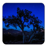 Efeitos estrela papel de parede ao vivo