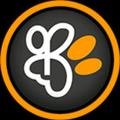 Blynce