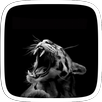 Black Leopard APK