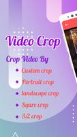 Video Crop Affiche
