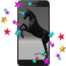 Black Horse Live Wallpaper APK