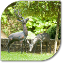 APK Garden Ornaments