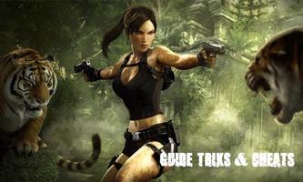Lara Croft: Tom Raider Guide โปสเตอร์