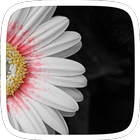 Bloom Theme for Huawei P9 icon