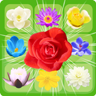 Blossom Jam: Amazing Match 3 icône