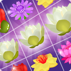 Blossom Star icon