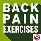 Back Pain Exercises icône