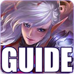 Guide for Heroes Evolved