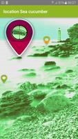 Location Sea cucumber Simulato Screenshot 1