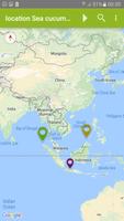 Location Sea cucumber Simulato Screenshot 3