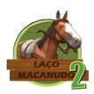 Laço Macanudo 2