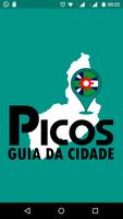 Picos Guia da Cidade 포스터