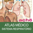 Atlas Sistema Respiratório