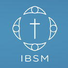 IBSM 图标