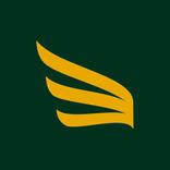 New Line Sistemas de Segurança