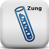 Zung icono