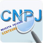 Icona Consulta CNPJ