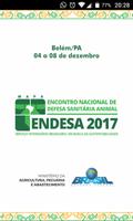 ENDESA 2017 পোস্টার