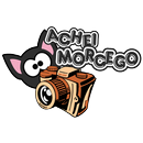 Achei Morcegos APK