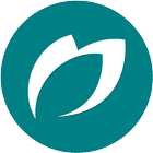 A Fórmula icon