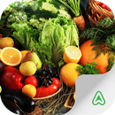 APK Pocket Agriculture