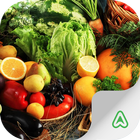 Pocket Agriculture آئیکن