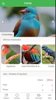 Birds Guide penulis hantaran