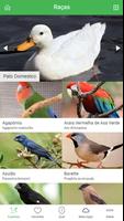 Guía de Aves captura de pantalla 1
