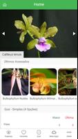 Guide des Orchidées Affiche