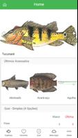 Guia de Peixes e Pesca ポスター