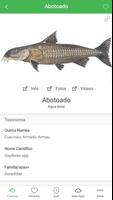 Guia de Peixes e Pesca Screenshot 2