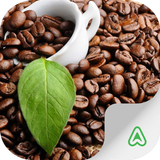 Coffee Pests icon