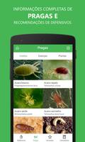 Coffee Pests syot layar 2