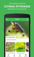 Sugarcane Pests poster