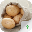 Potato Pests APK