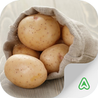 Potato Pests آئیکن