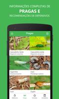 Banana Pests syot layar 2