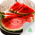 Watermelon Pests icon