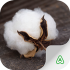 Cotton Pests simgesi