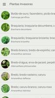 Pests of Pinus screenshot 1