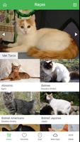 1 Schermata Cats Breeds Lite