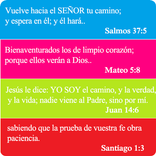 Cajita de Promesas Bíblicas