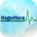 Método Global Haguihara APK