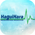 Método Global Haguihara icône