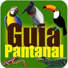 Guia Turístico Pantanal MT आइकन