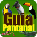 Guia Turístico Pantanal MT APK